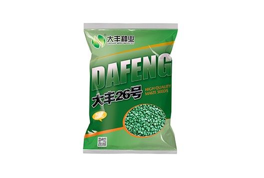 大豐26號